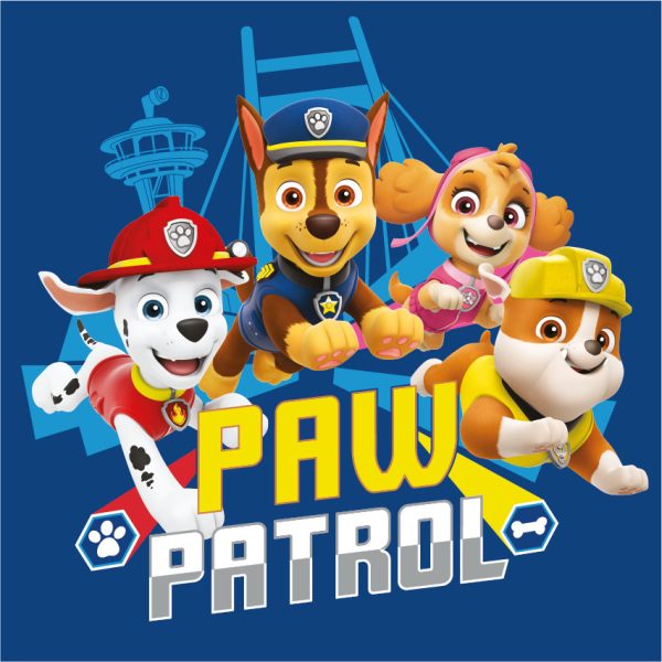 Paw Patrol Team handduk 30x30 cm