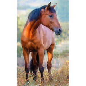 Horses Brown handduk, ansiktshandduk 30x50 cm
