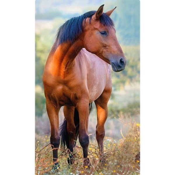 Horses handduk ansiktshandduk 30x50 cm brun