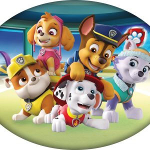 Paw Patrol Team dekorativ kudde 40x29 cm