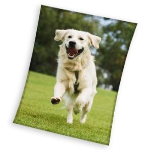 Dog Happytail Retriever coral fleece polarfilt 150x200 cm