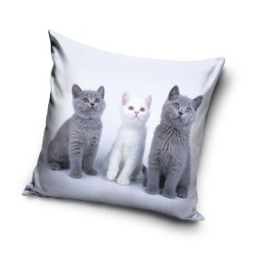 Cat Trio dekorativt kuddfodral 40x40 cm i sammet