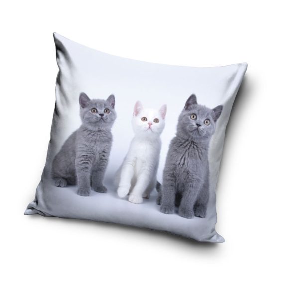 Cat Trio dekorativt kuddfodral 40x40 cm sammet