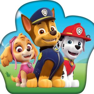 Paw Patrol Troop dekorativ kudde 36x36 cm
