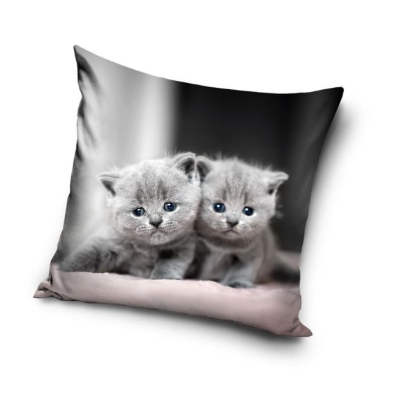 Cat Twins dekorativt kuddfodral 40x40 cm sammet