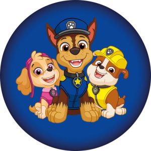 Paw Patrol Squad dekorativ kudde 37x37 cm
