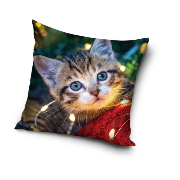 Cat Cozy Lights dekorativt kuddfodral 40x40 cm sammet