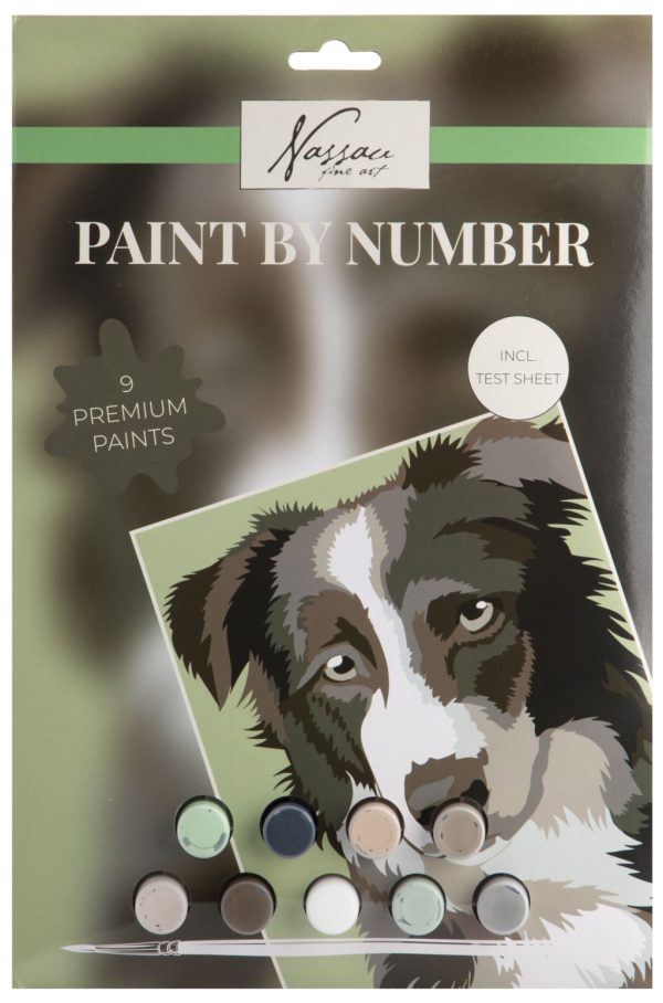 Dog Nassau målarbok med nummer, A4