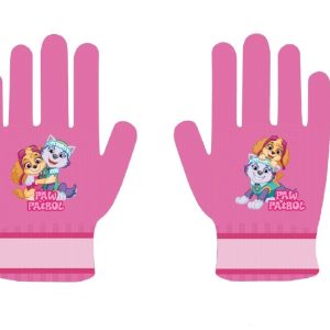 Paw Patrol Everest barnvantar