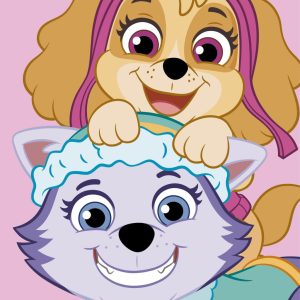 Paw Patrol Rosa Handduk, Ansiktshandduk 30x50 cm