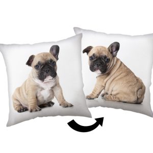 Dog Bulldog dekorativ kudde 40x40 cm