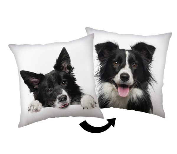 Dog Border Collie dekorativ kudde 40x40 cm