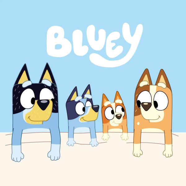 Bluey Cozy handduk, ansiktshandduk 30x30 cm