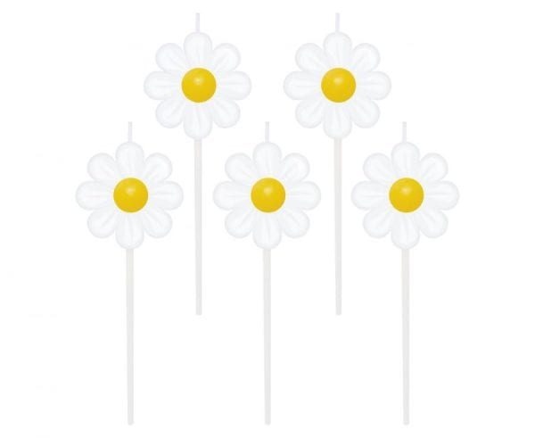 Färgade Daisy-blommiga födelsedagsljus, set om 5