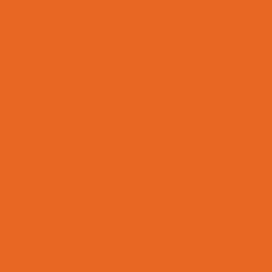 Colour Maki Orange servettset, 20-pack, 33x33 cm