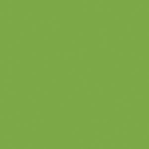 Colour Maki gröna servetter 20-pack 33x33 cm