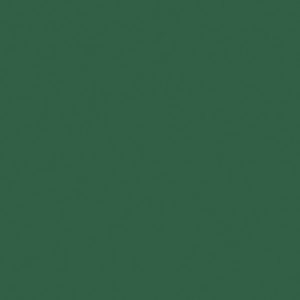 Colour Maki gröna servetter 20-pack 33x33 cm