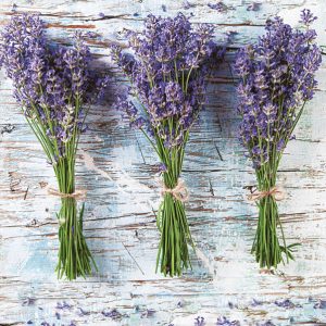 Flower Three Bunches Lavender servettset, 20 st, 33x33 cm