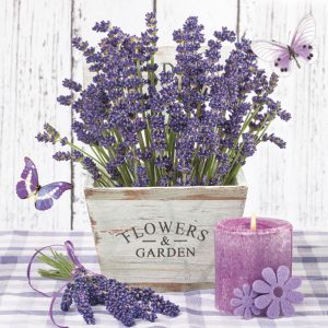 Flower Wooden Pot Lavendelservett, förpackning om 20, 33x33 cm