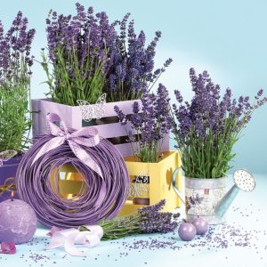 Flower Indoors Lavendel servetter 20-pack 33x33 cm