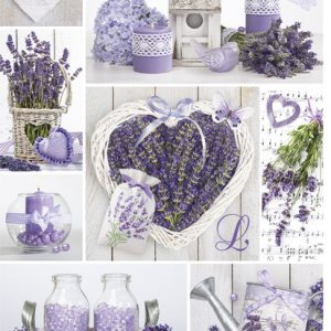 Colour Mosaic Lavendel A4 elastisk mapp