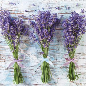 Colour Bouquet Lavender A4 Elastisk Mapp