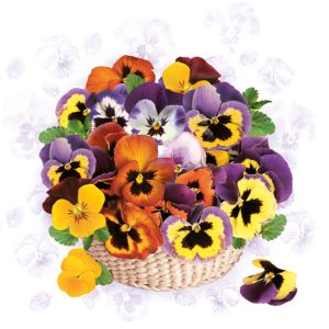 Flower färgglad pense-servett 20 st 33x33 cm
