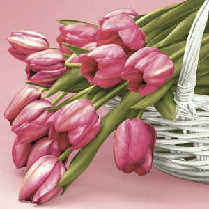 Flower Falling Tulip dekorativa servetter 20 st 33x33 cm