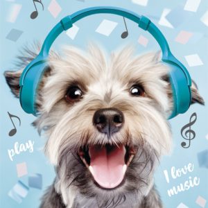 Dog A4-mapp med elastiskt band