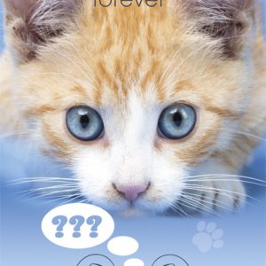 Cat Friends Forever A4 elastisk mapp