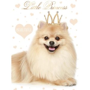 Dog Little Princess A4 elastisk mapp
