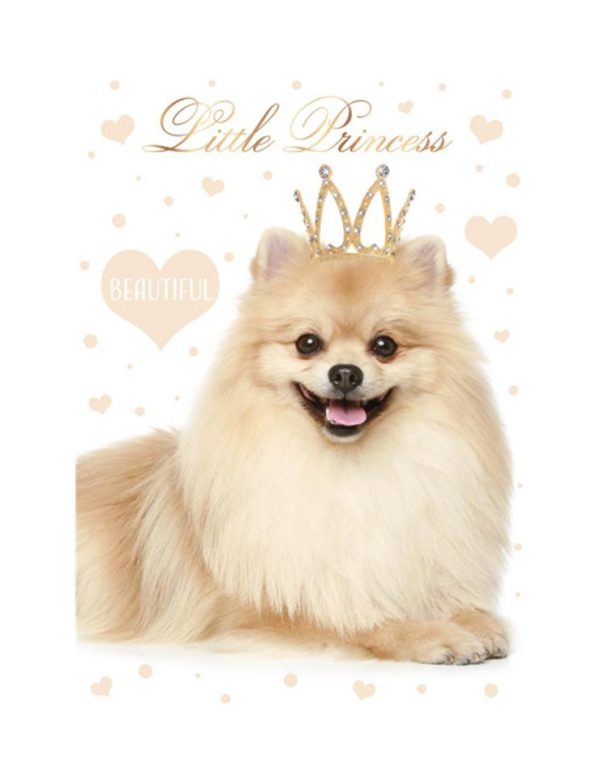 Dog Little Princess A4 dokumentmapp med resår