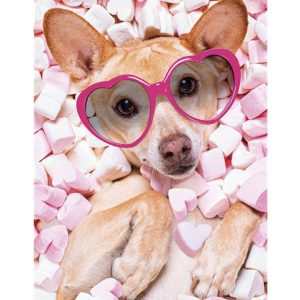 Dog A4 elastisk mapp