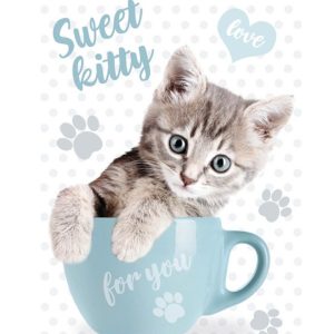 Cat Sweet Kitty A4 elastisk mapp