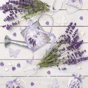 Colour Rustic Lavender A4-mapp med resår