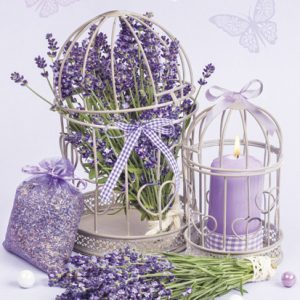 Colour Cage Lavender A4 elastisk mapp