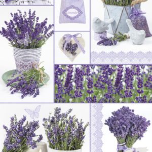 Colour Moments Lavender A4 mapp med resår