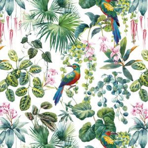 Colour Parrot Nature A4-mapp med elastiskt band