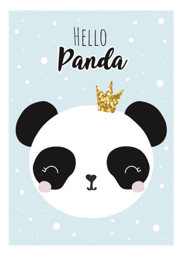 Panda Crown A4 dokumentmapp med resår