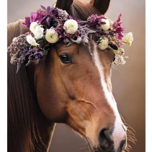 Horses Wreath A4 elastisk mapp