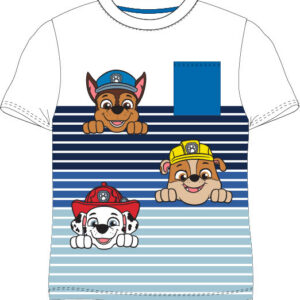 Paw Patrol barn kortärmad t-shirt, storlek 6 år
