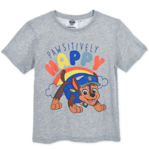 Paw Patrol barn kortärmad t-shirt, storlek 5 år