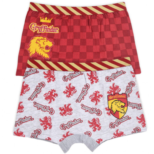 Harry Potter barnboxershorts 2-pack 8/10 år
