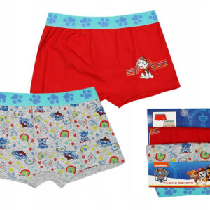 Paw Patrol barnboxershorts 2-pack 4/5 år