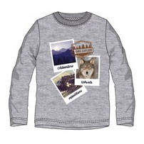 Ushuaia Pictures grå t-shirt för herrar S