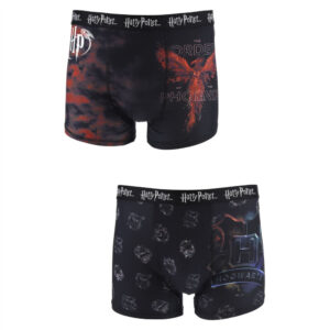 Harry Potter herrboxershorts 2-pack XL
