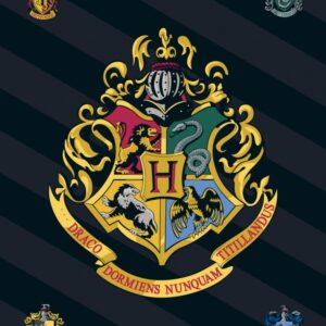 Harry Potter fleecefilt 100x140 cm