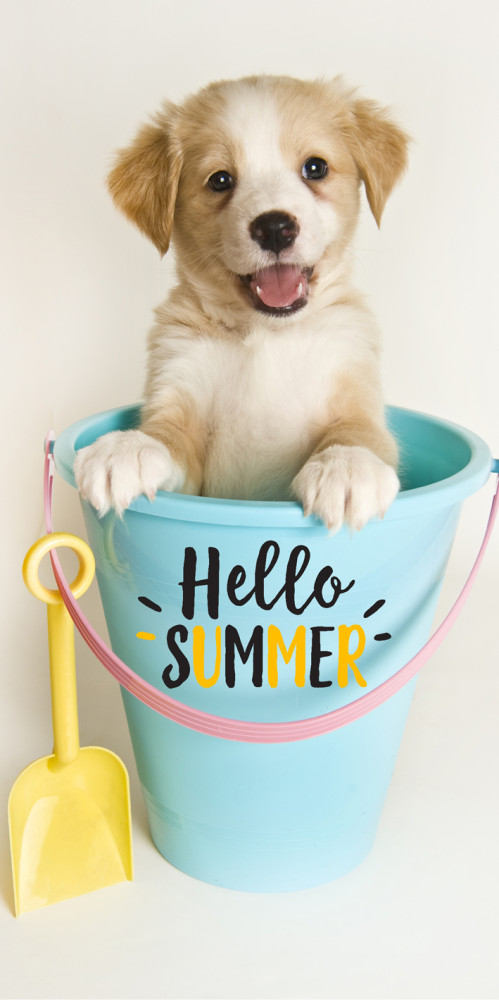 Dog sommarhandduk, badhandduk 70x140 cm