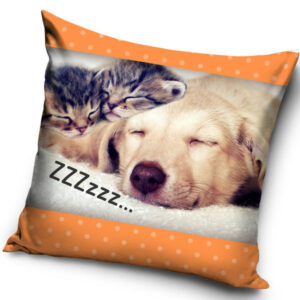 Cat ZZZ hund- och kattkuddfodral 40x40 cm