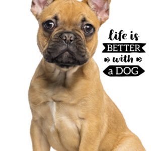 Dog Friend hand- och ansiktshandduk, handduk 30x50 cm